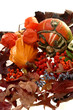 Herbstliche Dekoration mit Kürbis Herbstliche Dekoration mit Kürbis