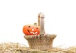 Cesta con calabazas de Halloween.