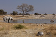 Foto: Pozza d'acqua Pozza d'acqua