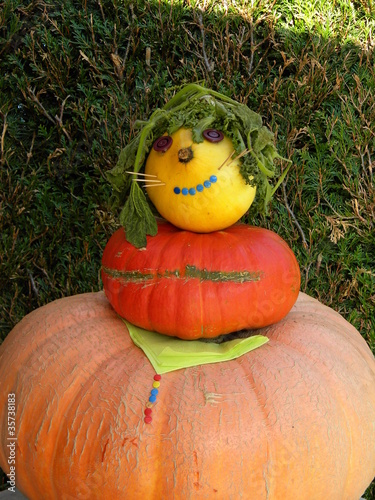 Photo: citrouille citrouille