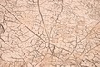 dry soil texture