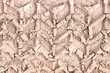 dry soil texture