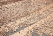dry soil texture