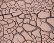 dry soil texture