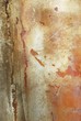 background of rusty metal