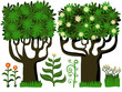 Vector: trees and flower plant set trees and flower plant set