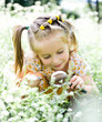 Little girl with magnifying glass looks at flower