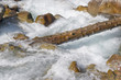 Wild water