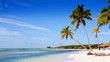 Tropical Island