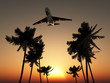 Illustration: Plane Over Palm Trees Plane Over Palm Trees