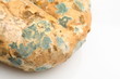 Mould growing on old bread Mould growing on old bread