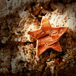 bark star shape christmas symbol on cork bark star shape christmas symbol on cork