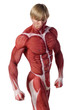 muscle man front view