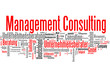 Management Consulting