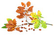 Herbst