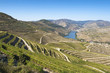 Douro region