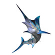 Marlin 01