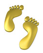 Die goldenen Füße
