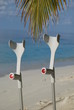 Privatpatient Kur im Ausland Privatpatient Kur im Ausland