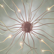 Nerve Cell Pulse Nerve Cell Pulse