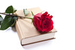 un libro y una flor