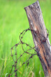 wood and barbed wire