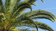 cote d'azur