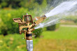 Water sprayed in city garden in hot summer day