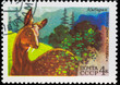 Postal stamp. Musk deer, 1975 Postal stamp. Musk deer, 1975