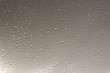 rain drops on the glass