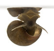 Great pond snail, Lymnaea stagnalis Great pond snail, Lymnaea stagnalis