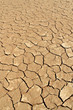 Soil detail of a dry pan, in the Sossusvlei sand dunes, Namib de