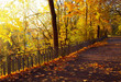 Autumn park