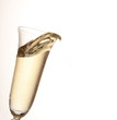 champagne