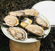 Oysters sold on street in weekend in Belgium