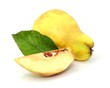 Blatt, Quitte