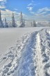 Winter am Berg