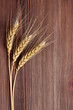 Wheat