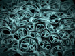 Illustration: Cell Structure Cell Structure