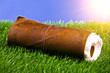 Scroll in the grass