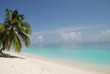 Traumstrand der Malediven