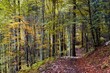 Autunno Autunno