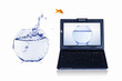 gold fish on notebook screen