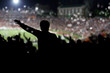 Crowd on the stadium
