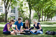 College students studying together