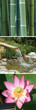 triptyque sur le thème de l'eau et du jardin zen triptyque sur le thème de l'eau et du jardin zen