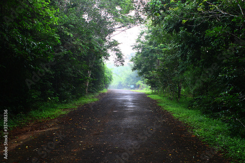 Photo: timber int thailand timber int thailand