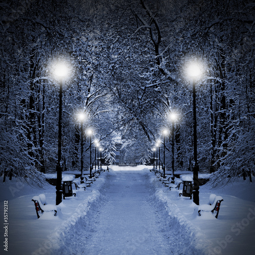 Photo: Park at Christmas Park at Christmas