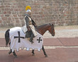 The horse knight in an armor, going on a horse