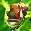 Wein